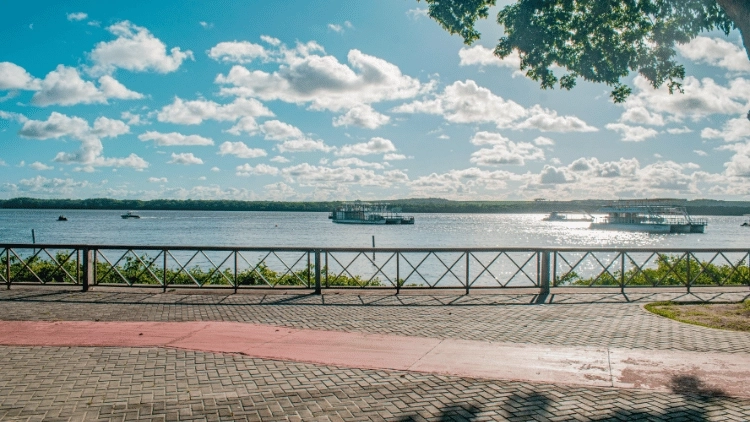 Praia de Genipabu